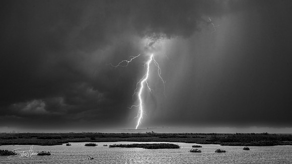 Marsh Lightning - Cattail Marsh, Beaumont, Texas