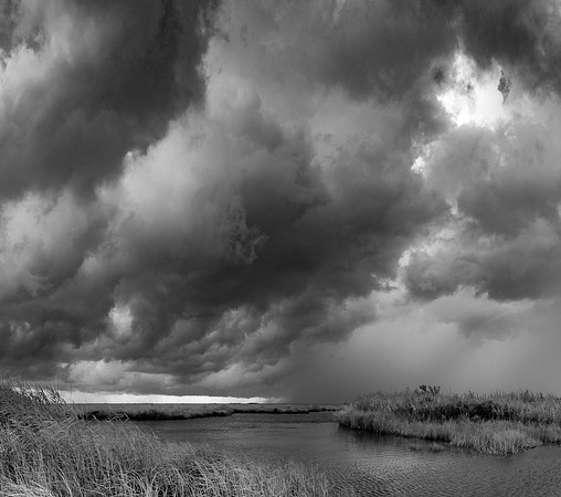 Texas, Marsh, Bridge City, Black & White