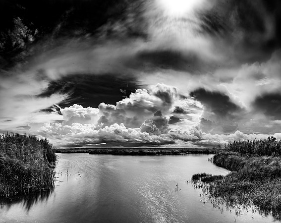 Texas, Marsh, Bridge City, Black & White