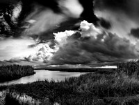 Texas, Marsh, Bridge City, Black & White