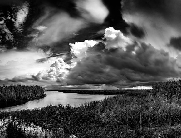 Texas, Marsh, Bridge City, Black & White