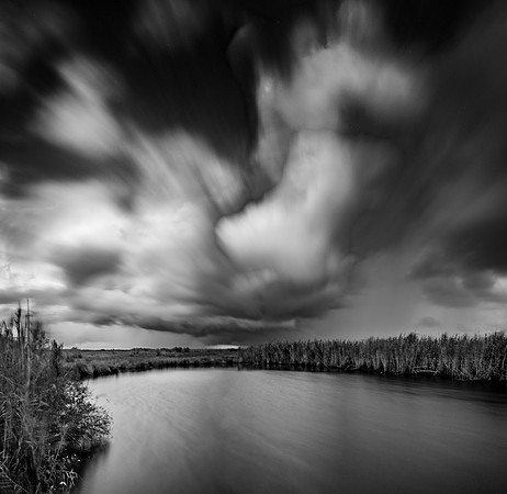 Texas, Marsh, Bridge City, Black & White