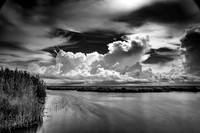 Texas, Marsh, Bridge City, Black & White