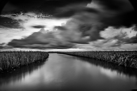 Texas, Marsh, Bridge City, Black & White