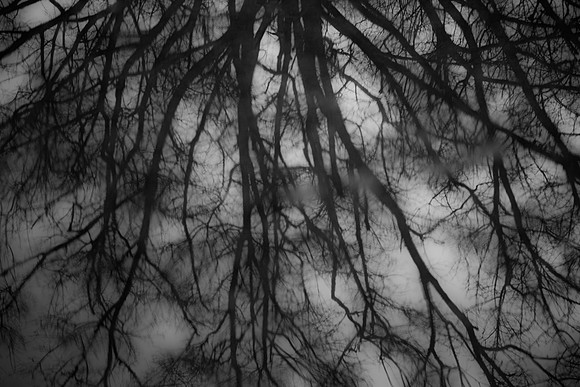Puddle, Port Arthur, Texas