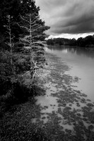 Taylor Bayou, La Belle, Texas
