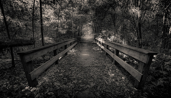 Big Thicket National Preserve, Village Mills, Texas