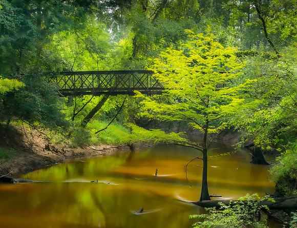 Village Creek, Big Thicket National Preserve