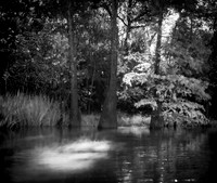 Pine Island Bayou, Beaumont, Texas