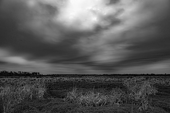 Cattail Marsh, Beaumont,Texs