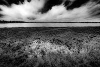 Cattail Marsh, Beaumont Texas