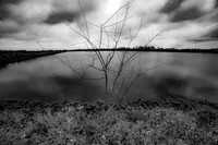 Cattail Marsh, Beaumont Texas